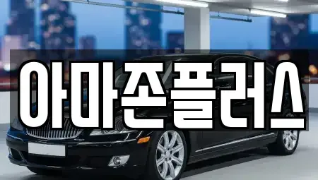 부산광역시 동구 범일동 렌트카 전문 아마존플러스