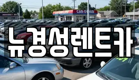 서울 서대문구 영천동 렌트카 전문 뉴경성렌트카