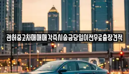 서울 서초구 염곡동 중고차 전문 관허중고차매매매각즉시송금당일이전무료출장견적