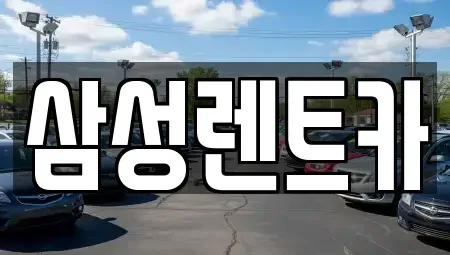 서울 서초구 잠원동 렌트카 전문 삼성렌트카