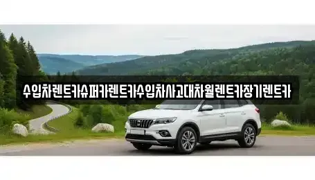 서울 서초구 잠원동 장기렌트카 전문 수입차렌트카슈퍼카렌트카수입차사고대차월렌트카장기렌트카