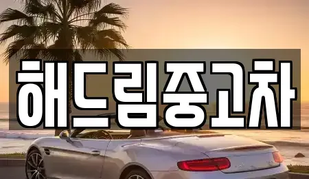 서울 서초구 잠원동 중고차 전문 해드림중고차