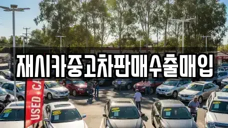 서울 성동구 마장동 중고차 전문 재시카중고차판매수출매입