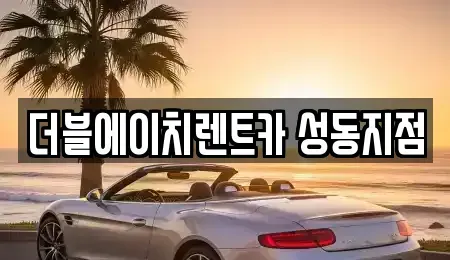 서울 성동구 성수동2가 렌트카 전문 더블에이치렌트카 성동지점