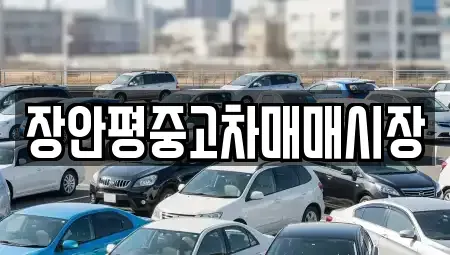 서울 성동구 성수동2가 중고차 전문 장안평중고차매매시장