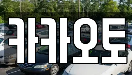 서울 성동구 성수동2가 중고차 전문 카카오토