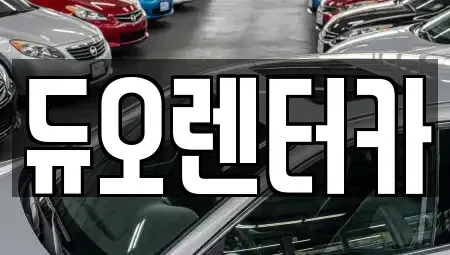 서울 성북구 성북동1가 렌트카 전문 듀오렌터카