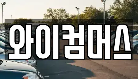 서울 성북구 성북동1가 렌트카 전문 와이컴머스