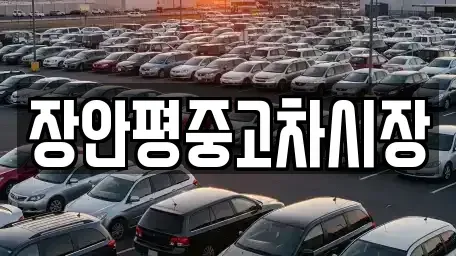 서울 성북구 성북동1가 중고차매매 전문 장안평중고차시장