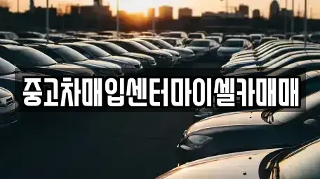서울 성북구 성북동1가 중고차매입 전문 중고차매입센터마이셀카매매