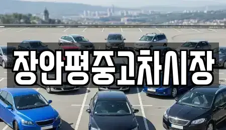 서울 영등포구 당산동2가 중고차 전문 장안평중고차시장