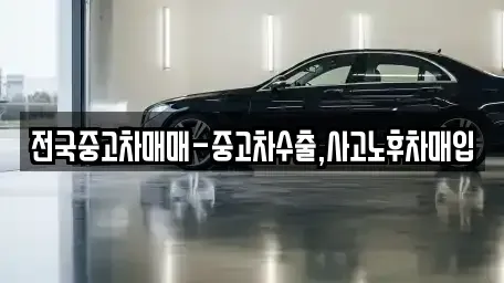 서울 영등포구 당산동2가 중고차 전문 전국중고차매매-중고차수출,사고노후차매입