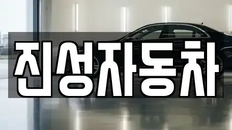 서울 영등포구 당산동2가 중고차 전문 진성자동차