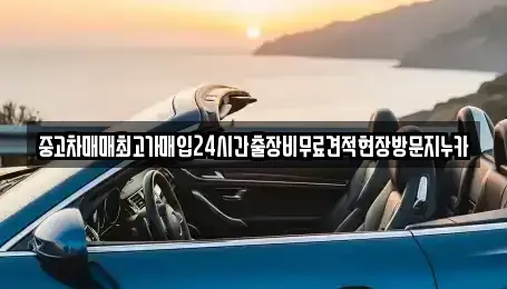 서울 영등포구 당산동2가 중고차매매 전문 중고차매매최고가매입24시간출장비무료견적현장방문지누카