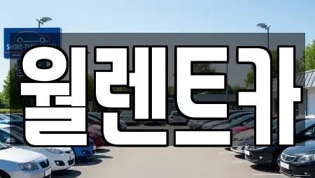 서울 용산구 한강로1가 렌트카 전문 월렌트카