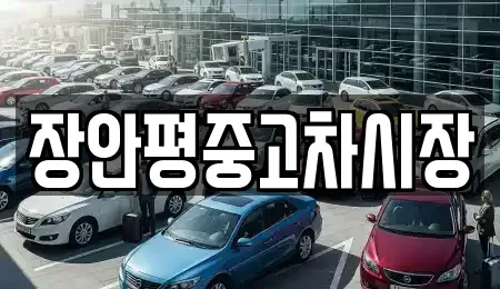 서울 종로구 충신동 중고차 전문 장안평중고차시장