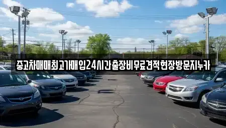 서울 종로구 충신동 중고차매입 전문 중고차매매최고가매입24시간출장비무료견적현장방문지누카