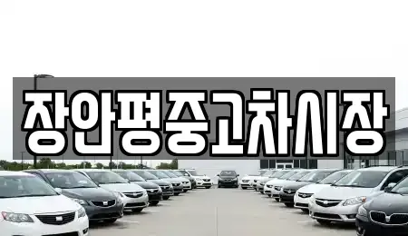 서울 종로구 화동 중고차매매 전문 장안평중고차시장