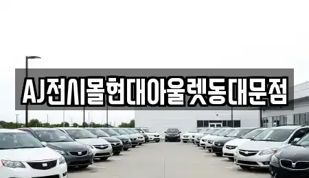 서울 중구 충무로5가 렌트카 전문 AJ전시몰현대아울렛동대문점