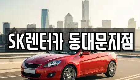 서울 중구 충무로5가 렌트카 전문 SK렌터카 동대문지점