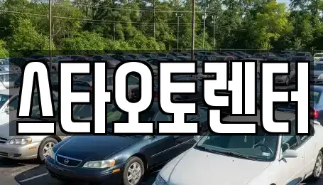 서울 중구 충무로5가 렌트카 전문 스타오토렌터