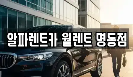 서울 중구 충무로5가 렌트카 전문 알파렌트카 월렌트 명동점