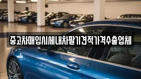 서울 중구 황학동 중고차매입 전문 중고차매입시세내차팔기견적가격수출업체