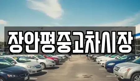서울 중구 회현동2가 중고차 전문 장안평중고차시장