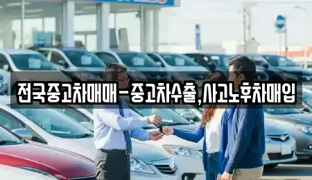 서울 중구 회현동2가 중고차매입 전문 전국중고차매매-중고차수출,사고노후차매입