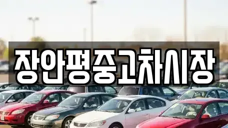 서울특별시 동대문구 장안동 중고차 전문 장안평중고차시장