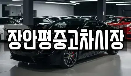 서울특별시 성북구 장위동 중고차 전문 장안평중고차시장