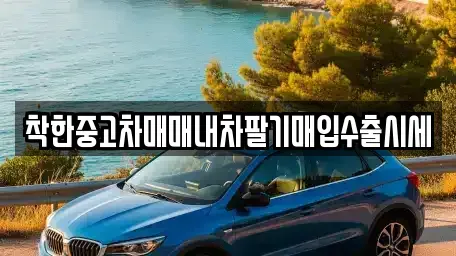 서울특별시 성북구 장위동 중고차매입 전문 착한중고차매매내차팔기매입수출시세