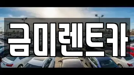서울특별시 영등포구 영등포동 단기렌트카 전문 금미렌트카