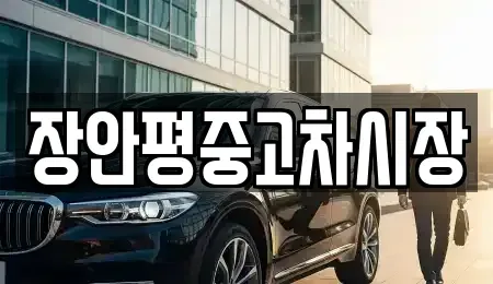 서울특별시 영등포구 영등포동 중고차 전문 장안평중고차시장