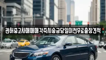 서울특별시 은평구 대조동 중고차매매 전문 관허중고차매매매각즉시송금당일이전무료출장견적