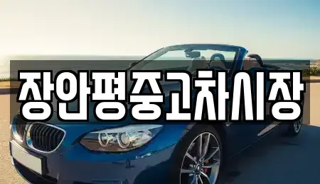 서울특별시 은평구 대조동 중고차매매 전문 장안평중고차시장