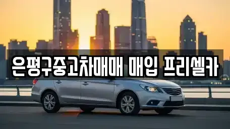 서울특별시 은평구 대조동 중고차매입 전문 은평구중고차매매 매입 프리셀카