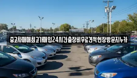 서울특별시 은평구 대조동 중고차매입 전문 중고차매매최고가매입24시간출장비무료견적현장방문지누카