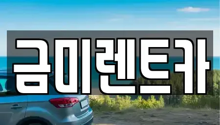 서울특별시 종로구 신문로1가 렌트카 전문 금미렌트카