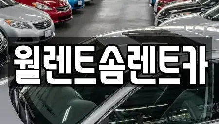서울특별시 종로구 신문로1가 렌트카 전문 월렌트솜렌트카