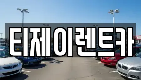 서울특별시 종로구 신문로1가 렌트카 전문 티제이렌트카