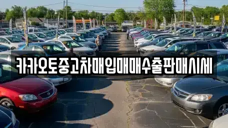 서울특별시 종로구 신문로1가 중고차 전문 카카오토중고차매입매매수출판매시세
