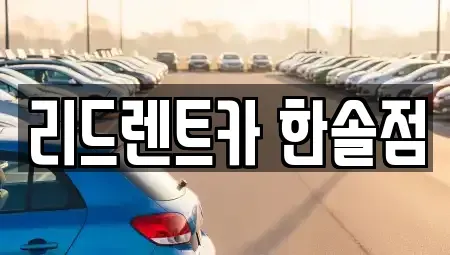 세종 가람동 렌트카 전문 리드렌트카 한솔점