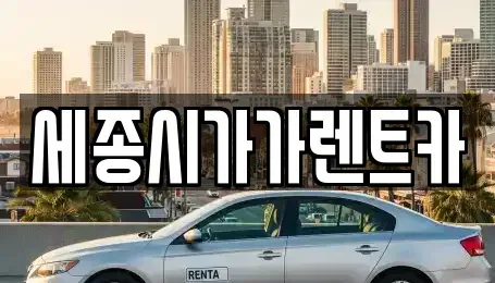 세종 가람동 렌트카 전문 세종시가가렌트카