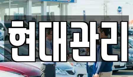 세종 가람동 렌트카 전문 현대관리