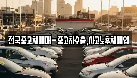 세종 산울동 중고차 전문 전국중고차매매-중고차수출,사고노후차매입