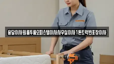 용달이사원룸투룸오피스텔이사사무실이사1톤트럭반포장이사