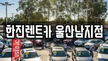 울산광역시 장기렌트카 전문 한진렌트카 울산남지점