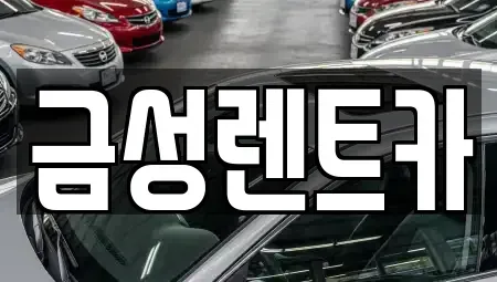 울산광역시 중구 복산동 렌트카 전문 금성렌트카