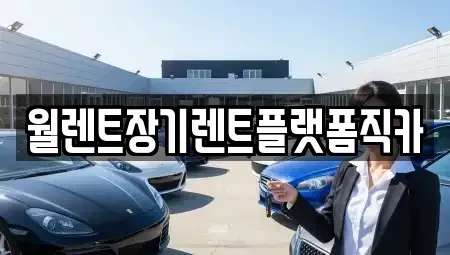 인천광역시 강화군 렌트카 전문 월렌트장기렌트플랫폼직카